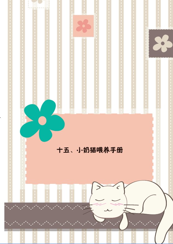 生活在猫国