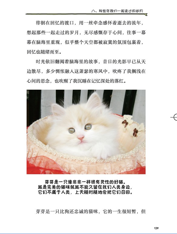 生活在猫国