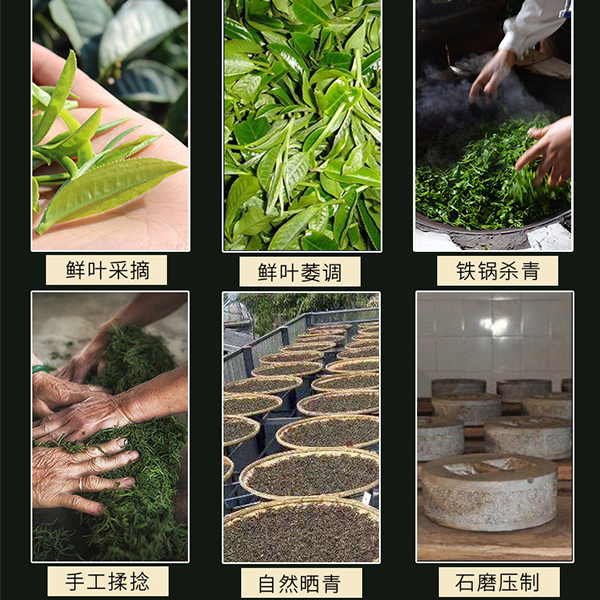 普洱茶生茶的加工工艺步骤:采摘—萎凋—杀青—揉捻—晒青—压制