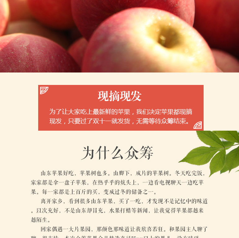 山东三优红富士苹果脆甜上市- 京东众筹