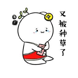 赛睿sensei raw 赛睿sensei raw