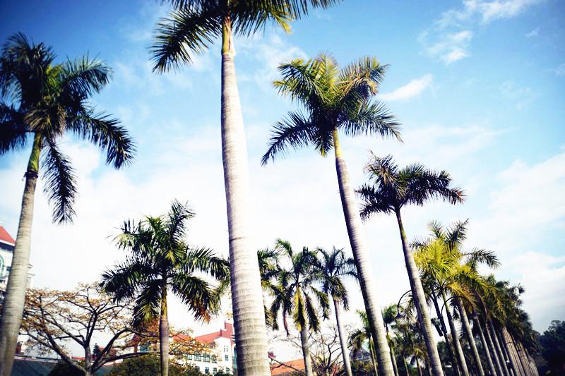 玩转厦门 之桐桐搭配分享_四季美肌-妆比社