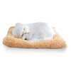 Plush toys simulation dog & cat Vehicle Decoration Baby Sleeping Appease Doll Kids Birthday Gifts kawaii kids toys stuffed animals dragon plush toy flying dragon dinosaur soft peluche doll boys child birthday gifts collection
