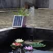Pequeño tipo bomba de agua decorativa de la fuente de la energía solar de las fuentes 9V 2W del jardín de la piscina del paisaje