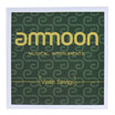 ammoon Full Set High Quality Violin Strings Size 44 & 34 Violin Strings Steel Strings G D A&E Strings