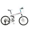 Rockefeller R200 20 inch Shimano 20 speed full shock fold mountain bike magnesium alloy round white