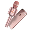 Yalan Shi EARISE H2 mobile phone microphone wireless Bluetooth universal K song treasure condenser microphone sing anchor special rose gold