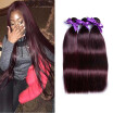 Brazilian 99 Color Burgundy Hair Vendors Wholesale Best Selling Items Brazilian Straight Virgin Remy Human Hair Extensions 3 Bund