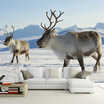 Custom Any Size 3D Wall Mural Wallpaper Snow Elk Nature Landscape Wall Painting Living Room Sofa Bedroom Wall Decor Paper Deer