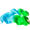 New Handmade Bamboo Ribs Dance Props Silk Belly Dance Fans Natural Silk1Pc Left1 Pc Right hand Dancing Silk Fans GreenTurquoise