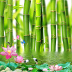 Custom 3D Photo Wallpaper For Walls 3 D Lotus Flower Bamboo Forest Wall Painting Living Room Bedroom Mural Wallpaper Home Decor