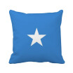 Somali National Flag Africa Country Square Throw Pillow Insert Cushion Cover Home Sofa Decor Gift