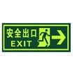 Teng Chi CT fire fluorescent safety export luminous light stickers evacuation signs direction signs luminous waterproof&wear-resistant warning stickers A01 straight safety exit
