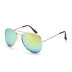 Unisex Aviator Sunglasses