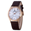 Bestdon Bd98107g Mens Fashionable Waterproof Quartz Wrist Watch Goldbrown