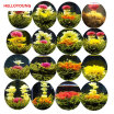 16 Kinds of Handmade Blooming Flower Tea Chinese Ball Blooming Flower Herbal tea Artificial Flower Tea Health Care Products 130g
