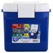 Alice IRIS Car Enclosure Refrigerator 15 liters CL-15 red