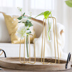Yonago home creative geometric metal flower stand transparent glass vase green green plant water planter decoration two-piece suit with bunch of flowers
