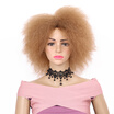 Synthetic Wig Short Wigs Afro Kinky Straight Black Hair For African American Women High Temperature Fiber