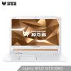 Predator Predator HELIOS 300 156-inch 144Hz Platinum Limited Edition Gaming Notebook i7-8750H 16G 512GPCIe GTX1060 6G IPS