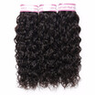 HCDIVA Brazilian Water Wave Bundles 3 PcsLot 100 Human Hair Extensions Natural Black Bundle Can Be Colored Virgin Hair Weft