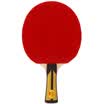Pisces table tennis racket 3 star double-sided sponge anti-fast attack type horizontal shot 3A-C long handle