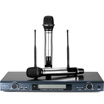 Victory TAKSTAR X6 wireless microphone microphone a drag two professional U section home KTV engineering conference host dedicated microphone high quality high fidelity elegant black
