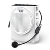 Sony Ericsson soaiy S-628 portable mini high power bee loudspeakers teacher teaching outdoor guide dedicated microphone player card player white