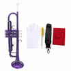 Trumpet Bb B Flat Brass with Mouthpiece Brush Cloth Gloves Strap Golden C4D5