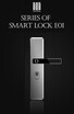 Smart LockBiometrics Fingerprint LockSemiconductor identificationSimple but great free shipping E01
