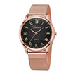 Mens Quartz Watch 550
