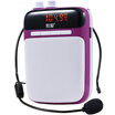 Sony Ericsson S-318 portable digital loudspeaker high power small bee loudspeaker teaching dedicated teacher guide card player player singing machine clove purple