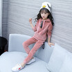 Korean version new childrens clothing winter baby girl sport Gold velvet hoodies coat pant sets kids clothes suits