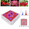LED plant lamp full spectrum indoor planting vegetable flower plant interior lamp tent factory growth funolampy color AC85-265V