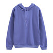 Hoodie female autumn&winter solid color hooded plus size loose embroidery long-sleeved clothes