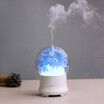 Creative eternal flower aromatherapy machine direct charging source ultrasonic humidifier household gifts fragrance expanding mach