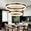 Baycheer HL487581 Personality 2 Rings Brushed Aluminum Circular LED Chandelier in Brown White Light