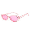 Fashion Oval Sunglasses Women Brand Designer Small Round Sun Glasses For Women Gift Shades UV400