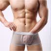 USA Mens Mesh Thong Trunks Briefs G-string Transparent Underwear Underpants