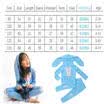 USA Child Toddler Kids Girls Outfits Clothes Long Sleeve T shirt Tops Pants Set