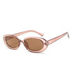 Fashion Oval Sunglasses Women Brand Designer Small Round Sun Glasses For Women Gift Shades UV400