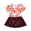 Infant Toddler Kids Girl Cute Floral Lace Dress Romper Outfit Jumpsuit Bodysuit