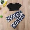 Kids Baby Girl Clothes T-shirt Cropped TopFloral Pants Leggings 2PCS Outfit Set