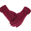 Women Windproof Gloves Touch Screen Winter Warm Fleece Lined Thermal Gloves