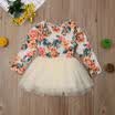 Baby Girl Kid Party Tutu Lace Long Sleeve Floral Dress Wedding Birthday Princess