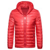 Mens Fashion Casual Solid Color Hoodied Side Pockets Long Sleeve Padded Down Jacket