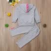 Toddler Kids Baby Girls Dinosaur Hoodies Tops Pants Tracksuit Outfits Costume