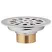 Germany DZ 696 deodorant stainless steel floor drain round bathroom balcony six anti-10cm specifications T-type