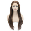 Iwona Synthetic Hair Lace Front Long Stright Brown Wig