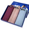 3 Men&39s underwear simple plain men&39s underwear 8J773L